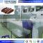 Vegetable And Fruit Quick Freezing Liquid Nitrogen Tunnel Freezer