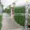Greenhouse For Hydroponics
