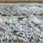 Fire retardant flocked white christmas tree