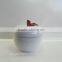 Nice Ceramic Jars White Apple Shape Candy Jar