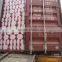 Bakery Yeast With Competitive Price
