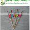 Eco friendly many types fruit bamboo cocktail sticks