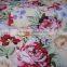 Super Soft and Good Price Printed Coral Fleece Fabric