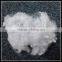 Pure virgin HCS-hollow conjugated silicon fiber