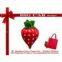 Foldable Tote Folding Pocket Bag
