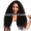 Afro kinky curly full lace wigs 180% density full lace wig