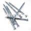 Common Wire Building Nails Cheap Galvanized Concrete Masonry Nail Stations For Sale