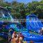 Tropical Palm Tree Large Inflatable Water Slide and Pool