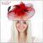 ladies fancy decorative fashion hair clip
