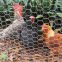 Chicken Wire hexagonal wire mesh chicken wire netting wire netting poultry fence poultry mesh