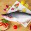 Whole frozen pangasius for export