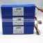 Wholesale 36v 10Ah EV Li-ion Battery Pack / EV Battery Pack with BMS and Charger