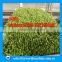 automatic portable hydroponic lettuce production/ barley fodder growing system