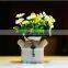 Decorative items table mini ceramic flower pots with green plant