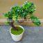 Home Decoration Use NEW Mini Novel Ceramic Porcelain Bonsai Grass Doll Hair Plant Head Planter Gift