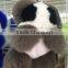 Women Gifts christmas present CuteReal rex Rabbit Fur Ball Fluffy Key Chain Car Keychain Key Ring Bag Purse Charm toys