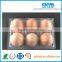plastic egg tray packaging use for packing eggs