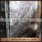 Imported Italian Marble Lilac Marble