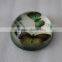 Elegant Dome Glass butterfly patterns Paperweight With insect Picture