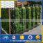 ss artificial green wall climb/ plant climbing netting