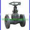 FORGED STEEL GLOBE VALVE CL800 ANSI B16.34; API 602