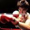 Speed Adjustable Freestanding Punching Ball