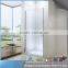 One panel hinged shower screen door