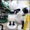 Glass steel Sean the sculpture and painting cartoon animal Statue Park cartoon resin ornaments