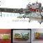 horicontal pillow type semi automatic packing machine