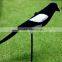 Wholesale Flocked Full Body Plastic Magpie Hunting Decoys/Bait for Hunt