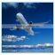 christmas gifts international transportation from China to Europe--BHC