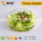 Transparent take away plastic salad box with lid