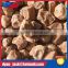 DYAN walnut in shell sandblasting walnut shell powder for abrasive