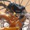 Luxury Fat Bike