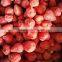Grade B quick IQF strawberry whole