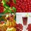 chinese manufacturers dried cherry