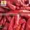 Carefully chosen exported red bullet chilli