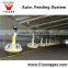 Automatic Poultry House Animal feeding line for broiler chicken Poultry equipment in Animal feeding system