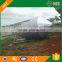 Popular ground flooring poultry broiler equipment for chicken houses