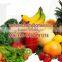 High quality Vitamin C( Ascorbic acid) 50-81-7