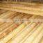 WY-135 2016 Hot sale natural dry strong bamboo poles for supporting