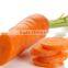 fruit onion dicer machine