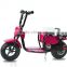 high quality 350W electric scooter for kids (TKE350-4)