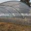 Plastic Film Low Cost Galvanized Greenhouse