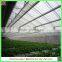 Venlo agricultural pc sheet vegetable/fruit/flower greenhouse