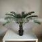 decorative sago cycas cycas revoluta artificial high simulation cycads plant