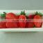 wholesale ceramic white decorative dinner plate,cheap ceramic plate
