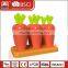 funny 2015 new Haixing plastic silicone pp ice pop mould