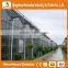 Heracles Trade Assurance Glass Greenhouse Equipments