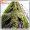 High quality artificial grass decoration factory wholesale direct sales